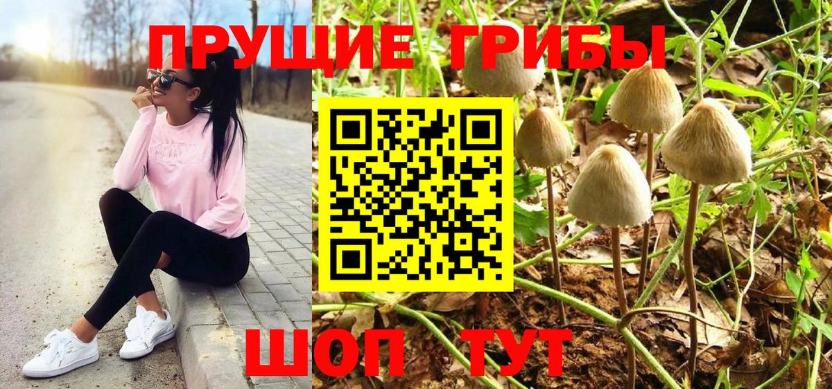 Псилоцибиновые грибы Psilocybine cubensis Белорецк